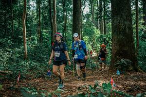 BIB: 
                            <button type="button" onclick="openModal(26135371)" class="btn btn-primary btn-sm float-right btn-popup" data-toggle="modal" data-target=".modal-high-quality">
                        <i class="fas fa-shopping-cart"></i> Add to Cart
                    </button>
                                            <button type="button" onclick="isThisMe(26135371, true)" class="btn btn-success btn-sm float-right btn-popup btn-isme hidden" data-toggle="tooltip" data-placement="bottom" title="นี่คือรูปของคุณใช่ไหม คลิกที่นี่เพื่อเอาเข้าอัลบั้ม">
                        <i class="fas fa-plus"></i> Add to album
                    </button>
                    <button type="button" onclick="isThisMe(26135371, false)" class="btn btn-warning btn-sm float-right btn-popup btn-isnotme hidden">
                        <i class="fas fa-ban"></i> Remove from album
                    </button>